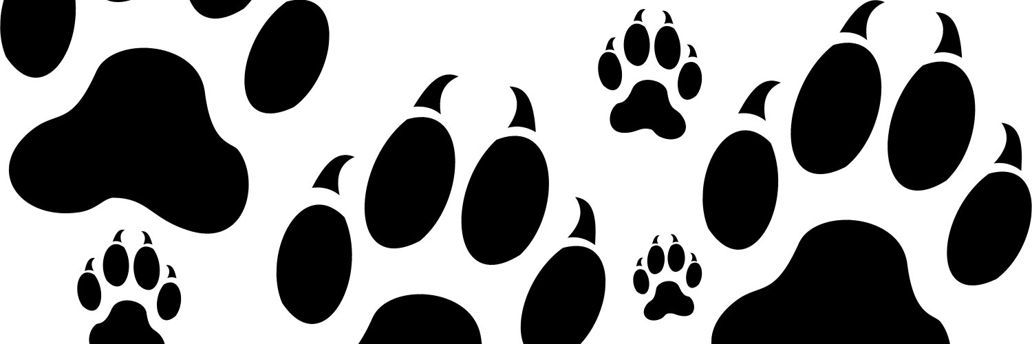 MuseCatsNft's profile banner image