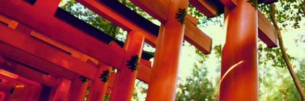 chiru228 Profile Banner