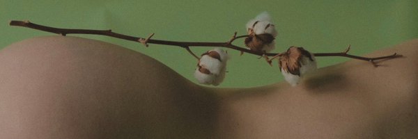 mindal_nft Profile Banner