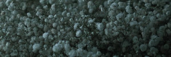 mindal_nft Profile Banner