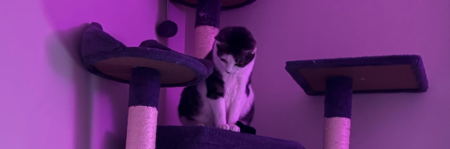 🦂意志🦂Will🦂 banner