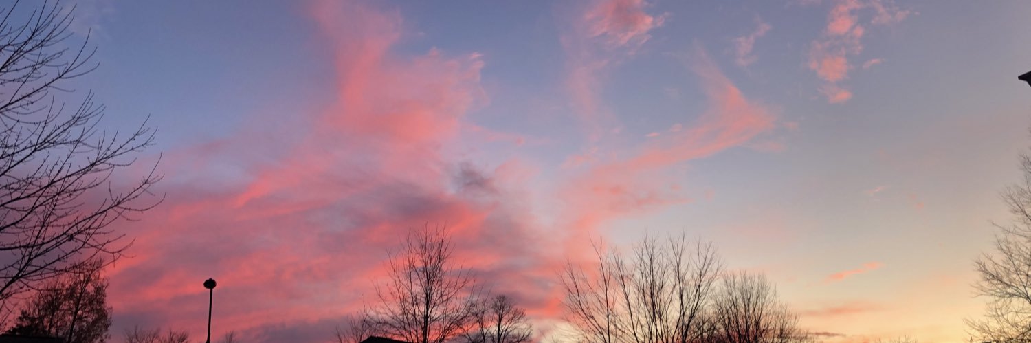 CarolineReSan's profile banner image