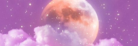Sam Bernardo banner