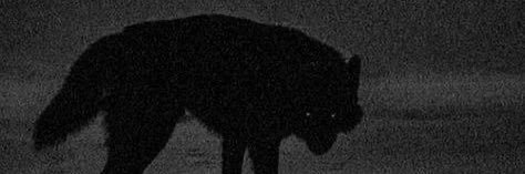 ＳＫÖＬＬ banner