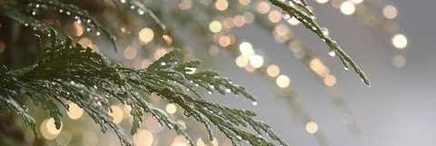 saltitch's profile banner image