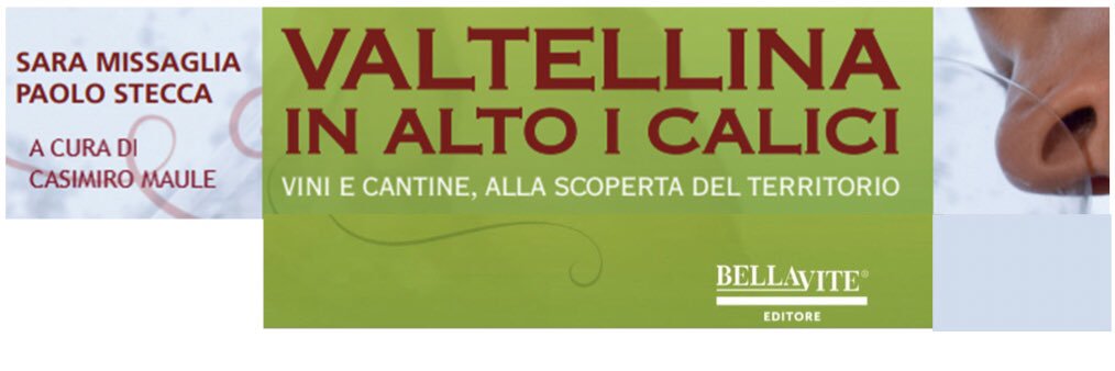 Paolo Stecca banner