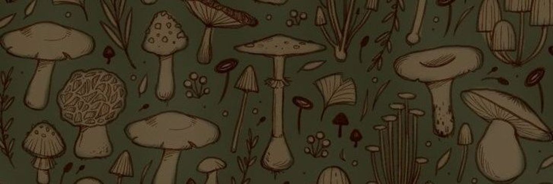 rowan 🍄🌿 | angels trilogy lover 🪽 banner