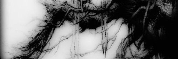 Bjzzyy Profile Banner