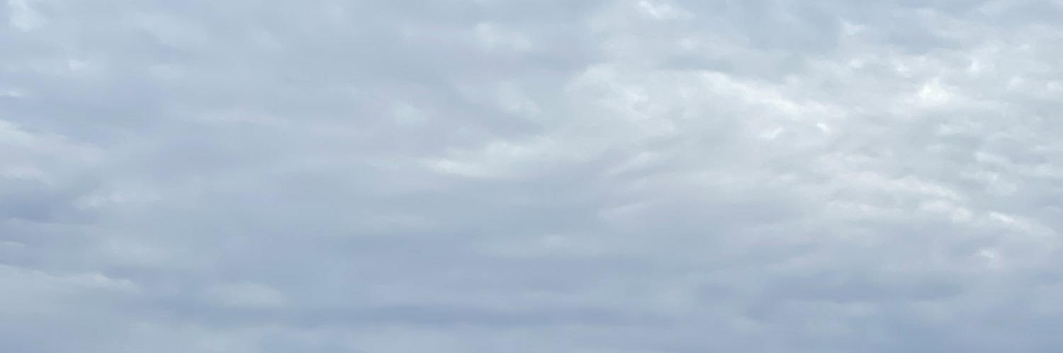 bluebeReese's profile banner image