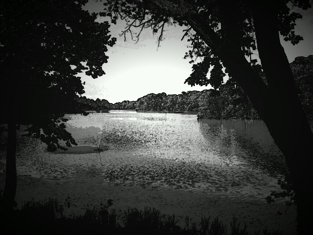 Brandonson112's profile banner image