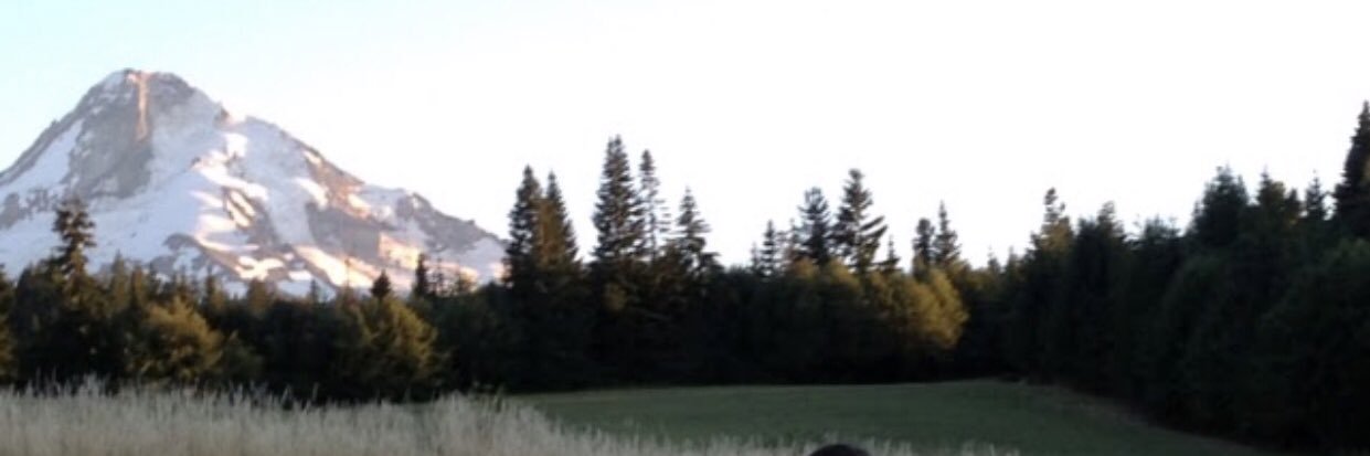 mcallison's profile banner image