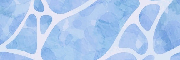 SnovaVega's profile banner image