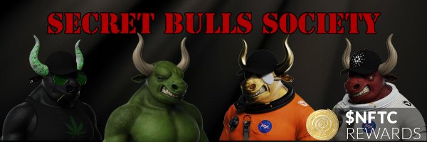 SecretBullsNFT Profile Banner
