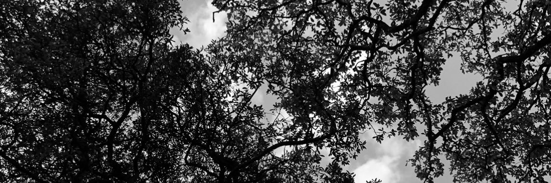rrrryan___'s profile banner image