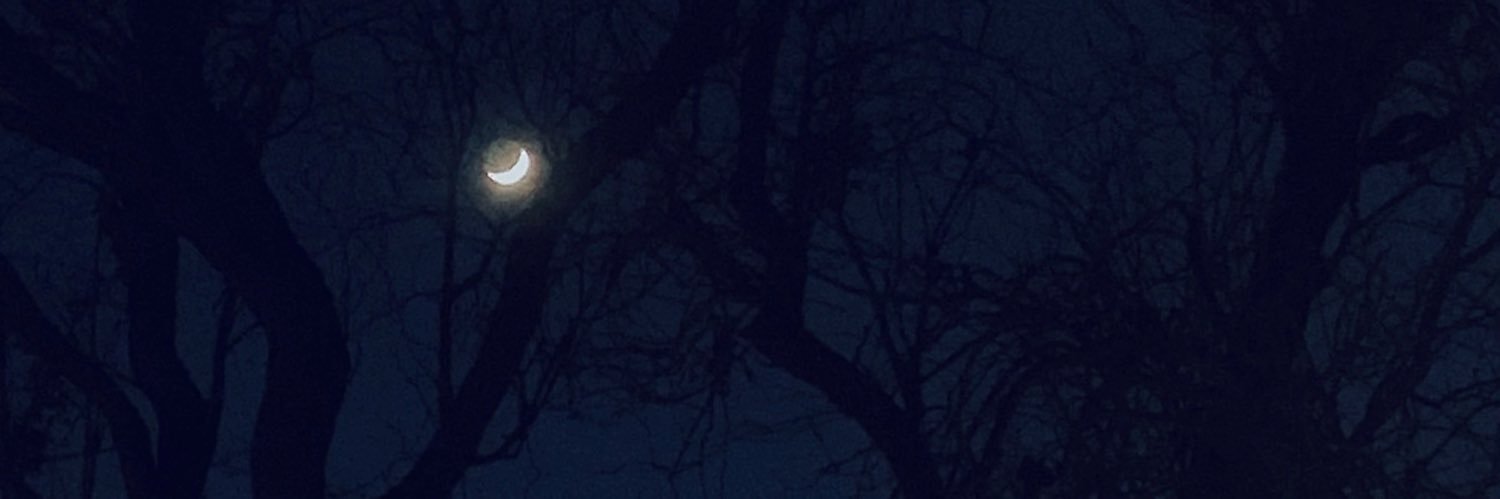 lumin_noir's profile banner image