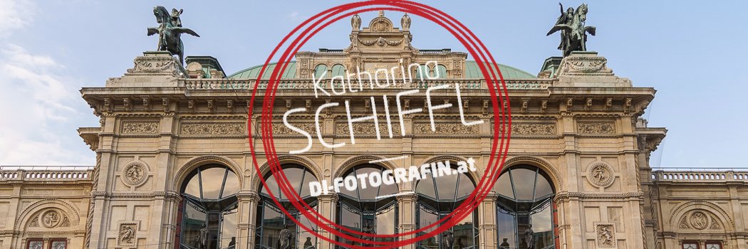kschiffl's profile banner image
