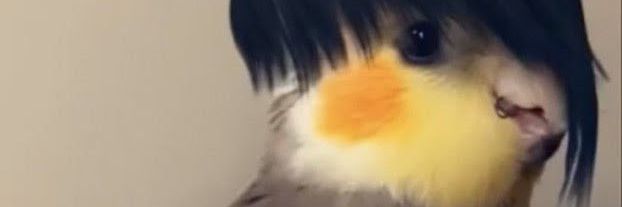 moontual's profile banner image