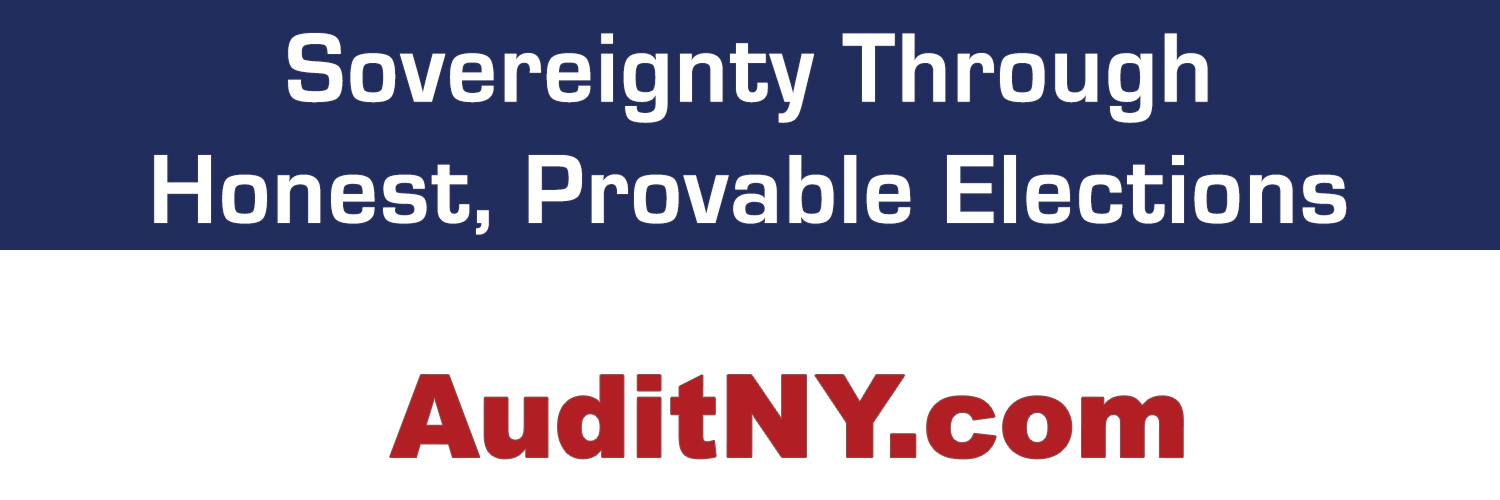 New York Citizens Audit News banner