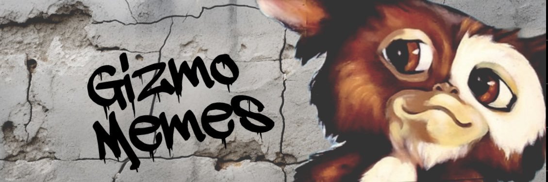 Gizmo Memes's banner