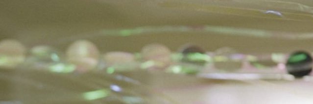 gsarpari's profile banner image