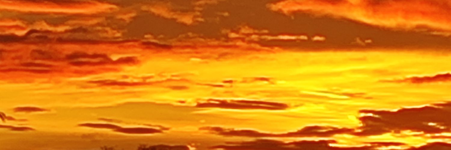 moonbathing__'s profile banner image