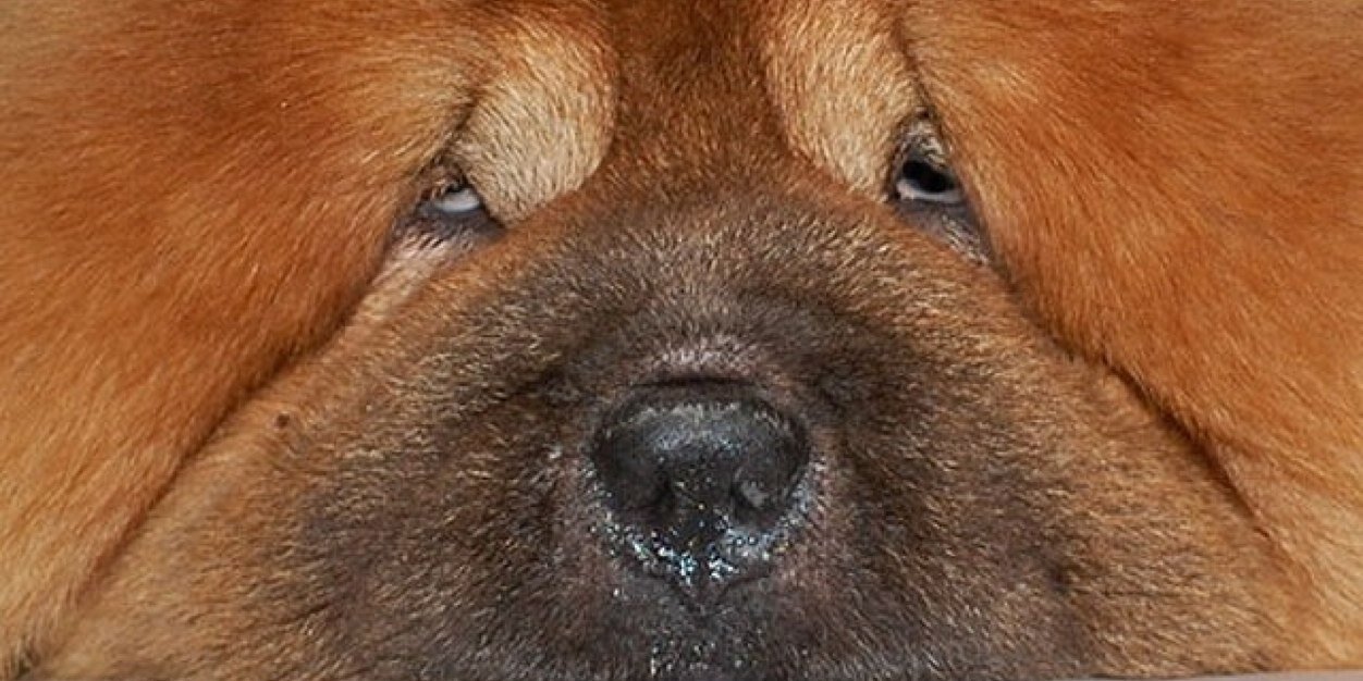 KillanF's profile banner image