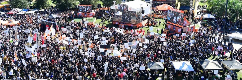 GoldenKnight II banner