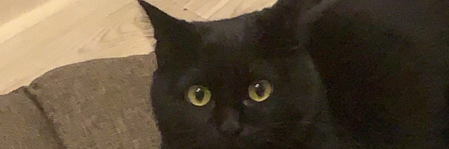 hideshit6's profile banner image