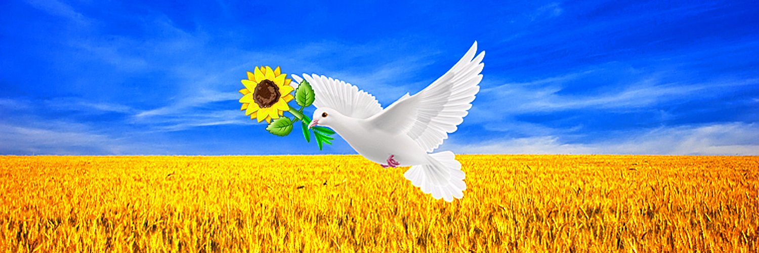 Amante banner