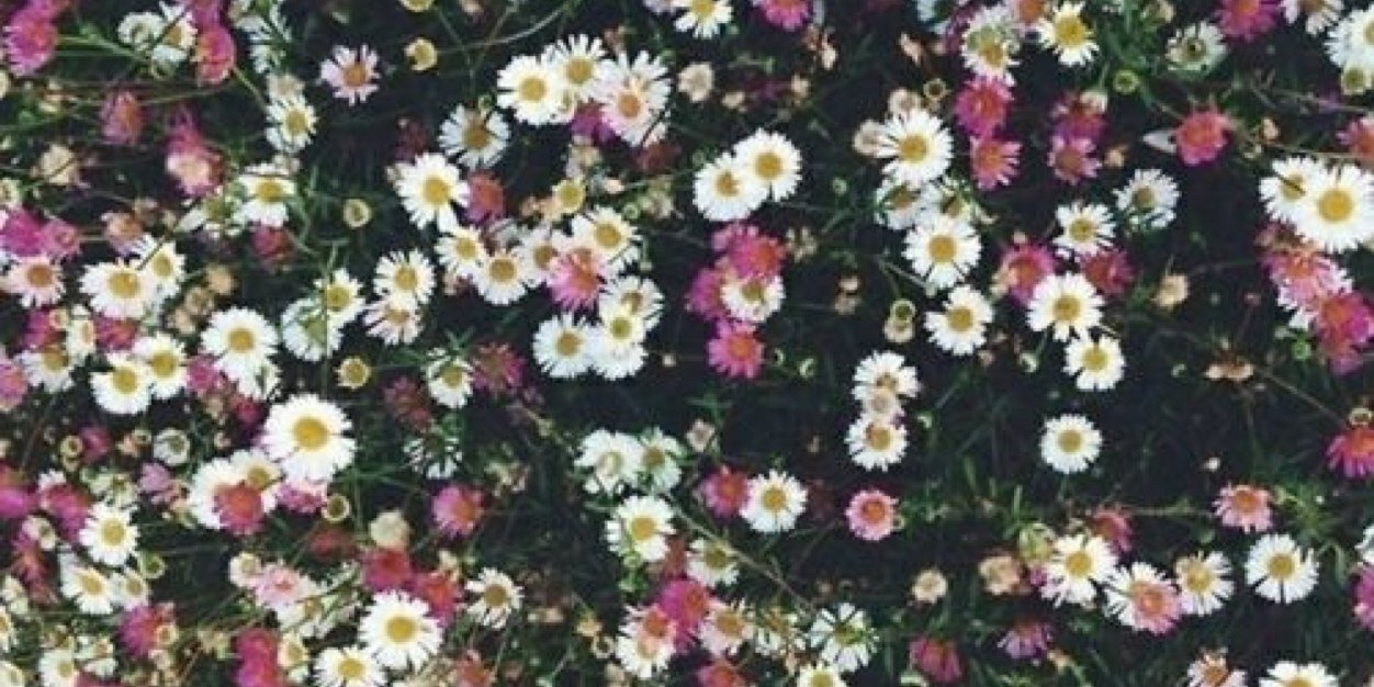 Vickasanti's profile banner image