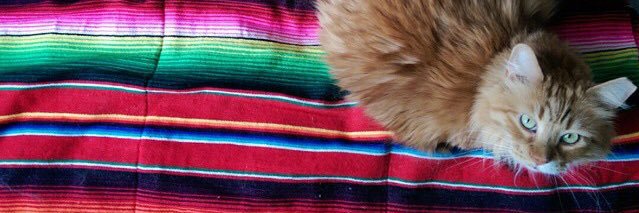themarygproject's profile banner image