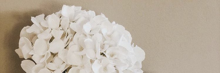 Nandi_hla's profile banner image