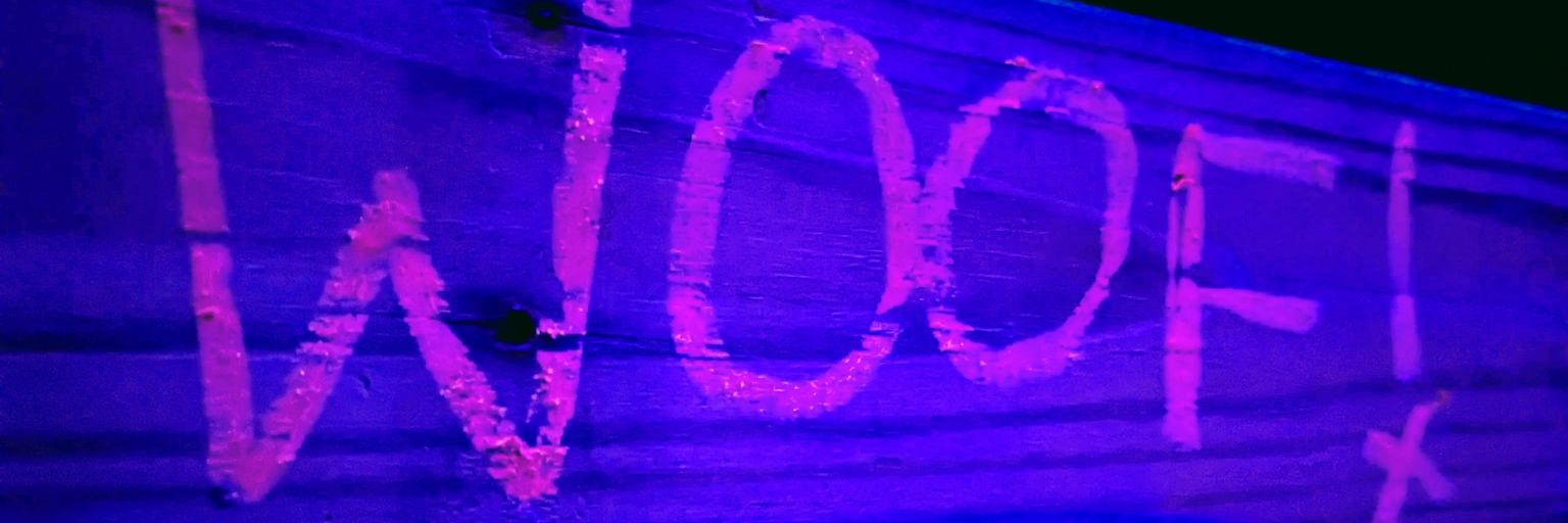 auxyee's profile banner image