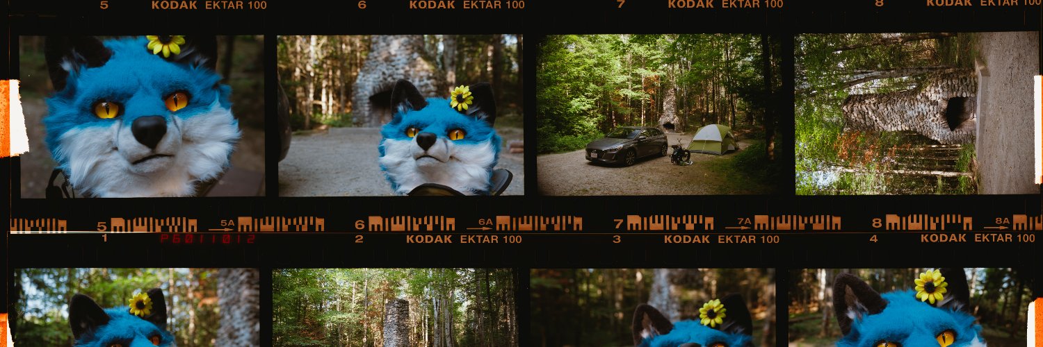 AntiBlueFox's profile banner image