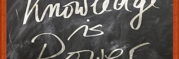 ElectChadStall Profile Banner