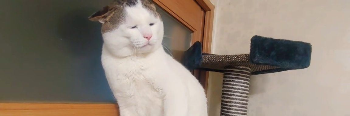 玉ブラ仁志尾信治郎久信 banner