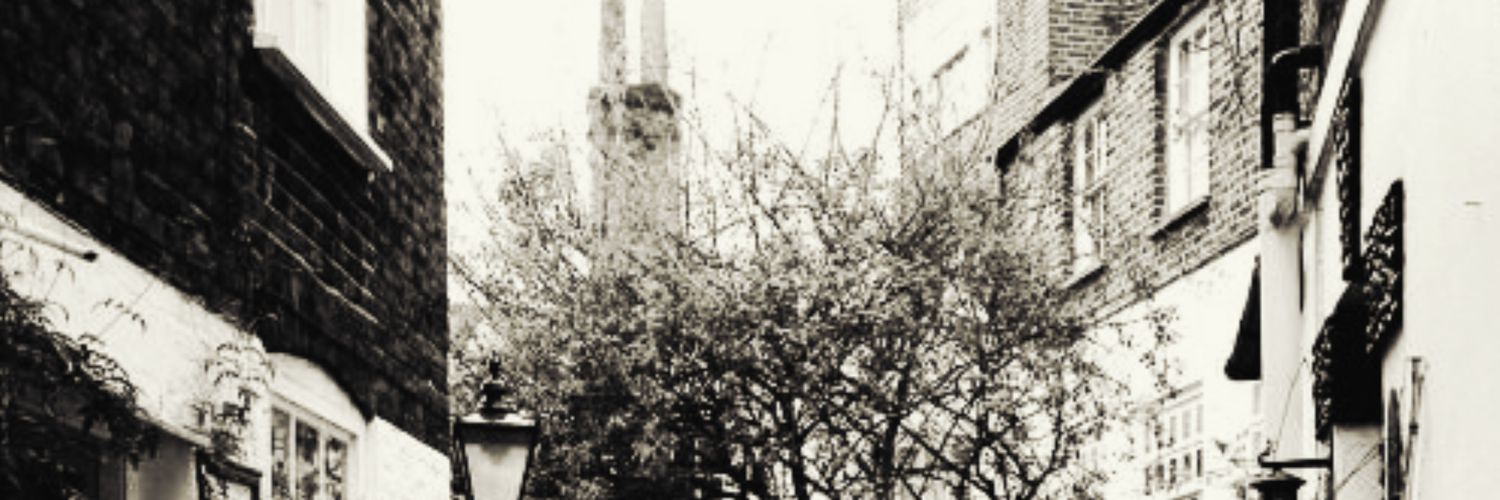 sicintahaechan's profile banner image