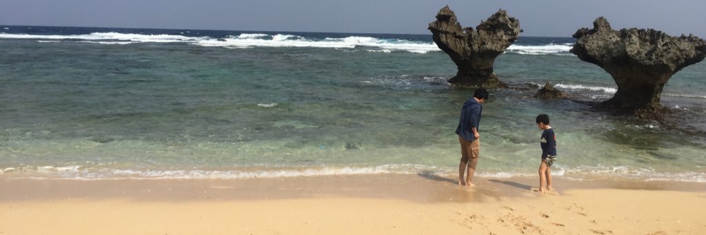 DHleechan's profile banner image