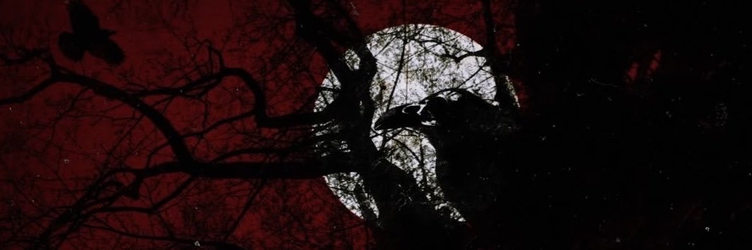 Raybeingray8's profile banner image