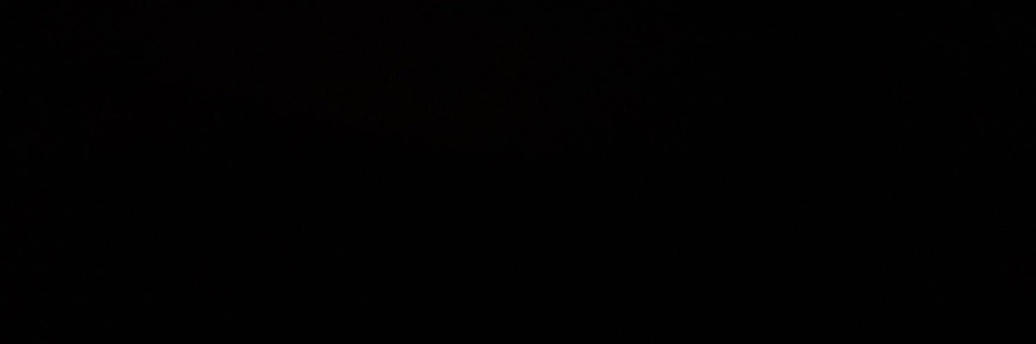 sydlynette's profile banner image