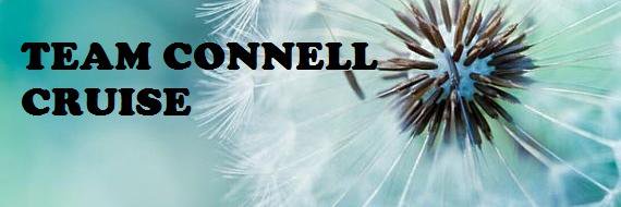 Team Connell banner