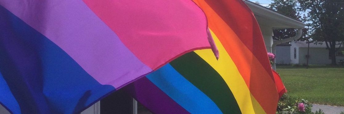 Scarlet Mitchell banner