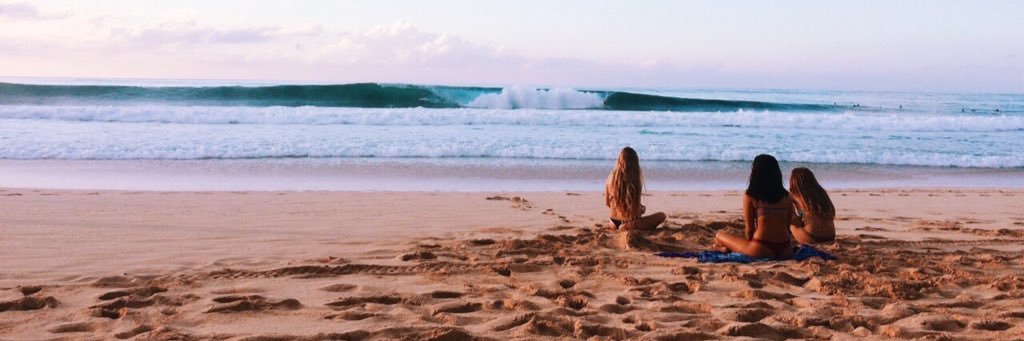le_rol's profile banner image