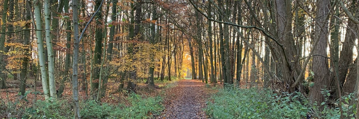 Cornelia Achenbach banner