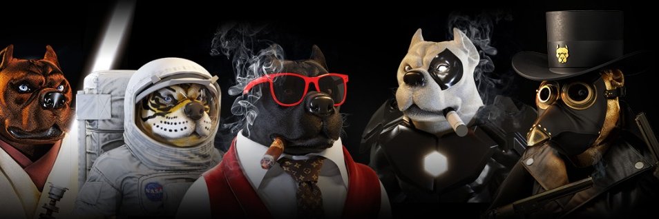 Crypto Dog Society banner