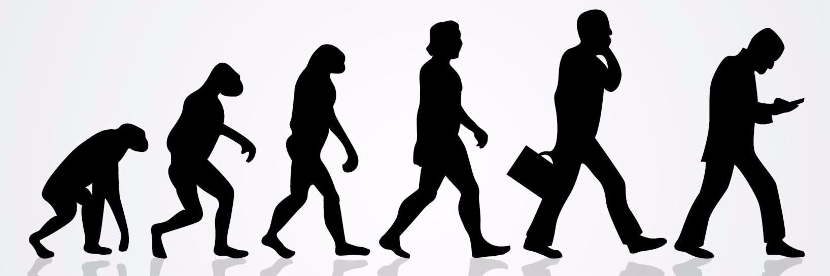 Stéphane Rodriguez banner