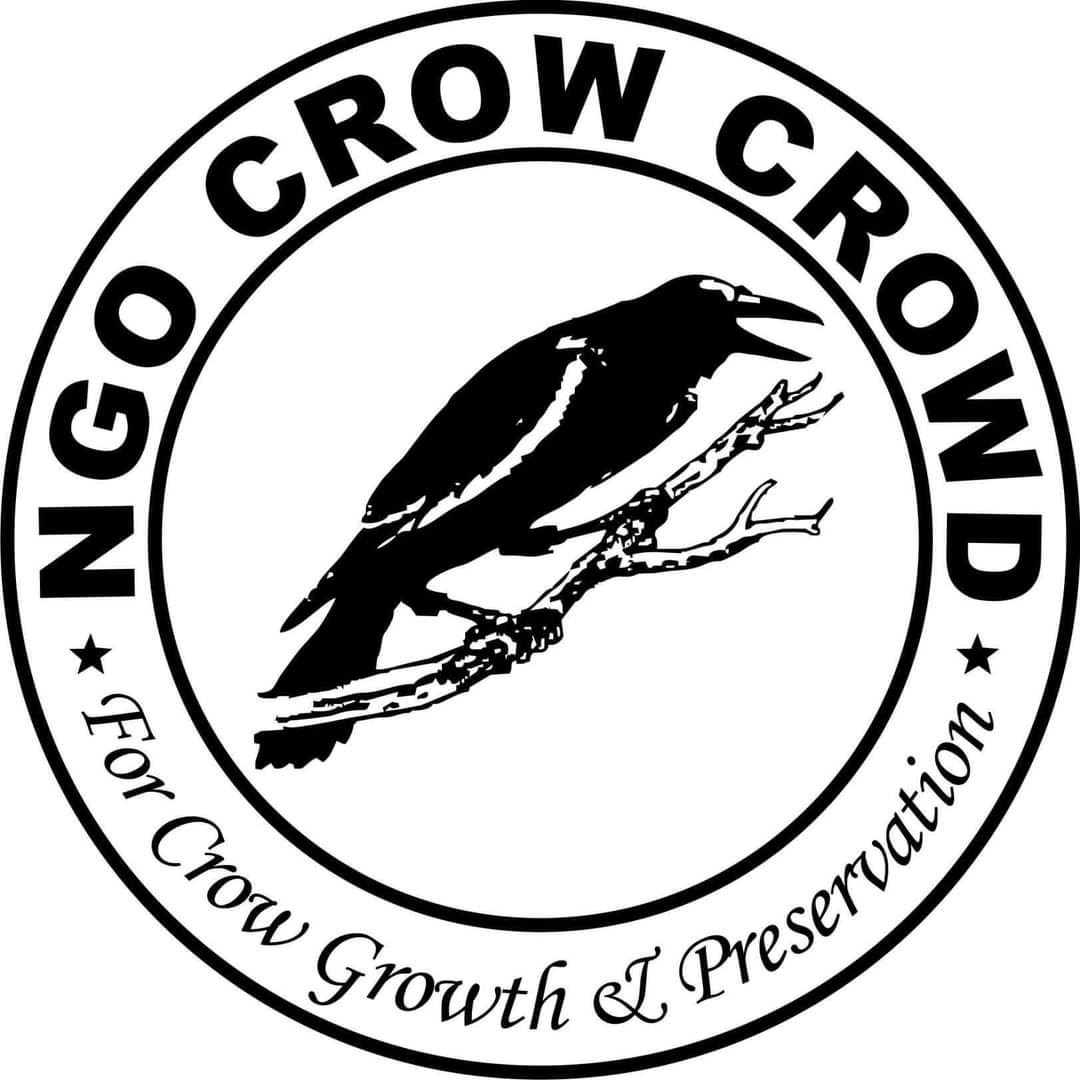 crow_ngo's profile banner image