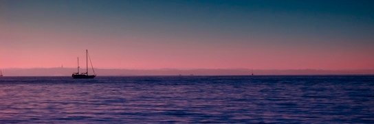 AngelsSeguraUni's profile banner image