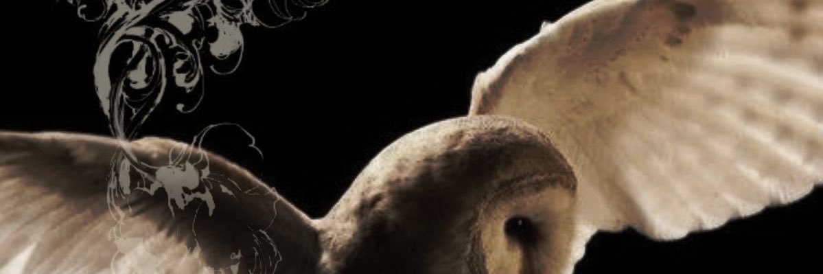 𝐴𝑛𝑡𝑜𝑛𝑒𝑙𝑙𝑎 banner