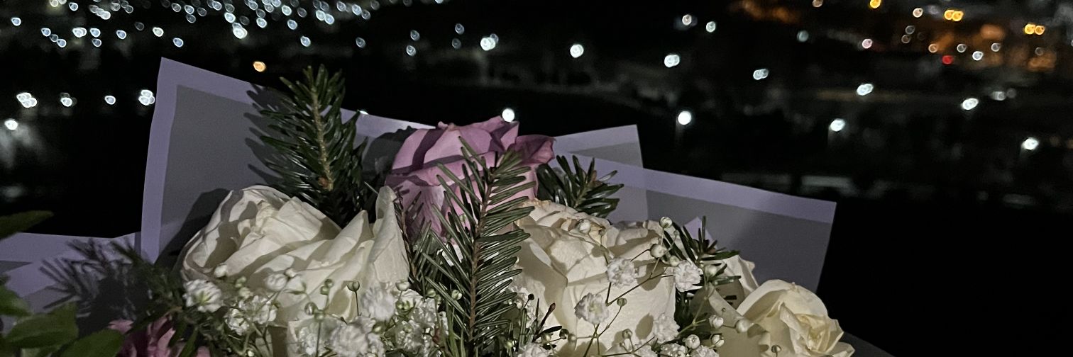 خرابکار banner